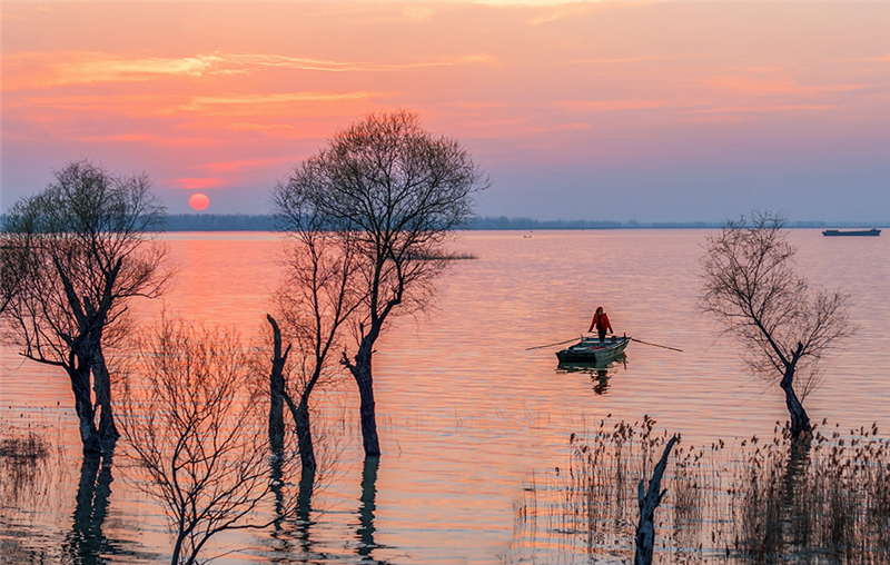 白昼工作室 作品封面