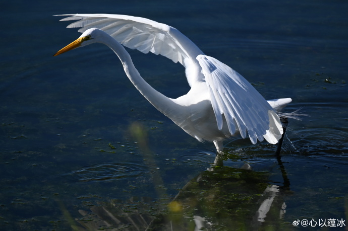 灵感合集 — 城市故事 封面