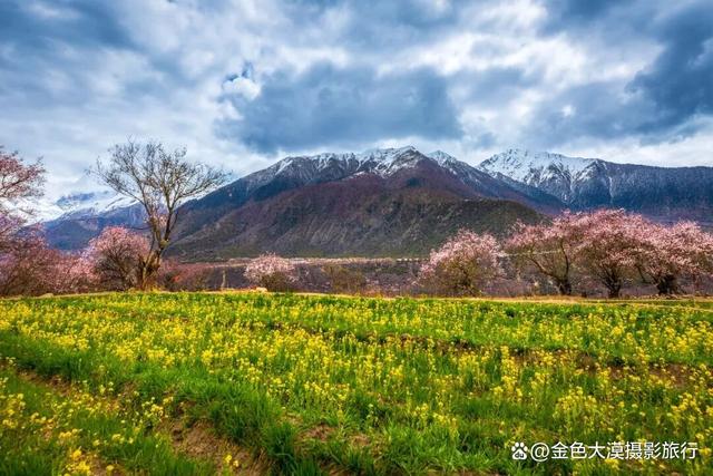 剪辑练习 — 国风新声·清爽剪 缩略图