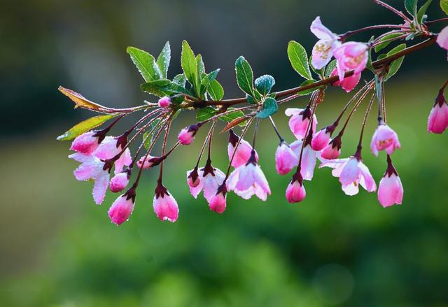 经典回看 — 校园记忆 封面