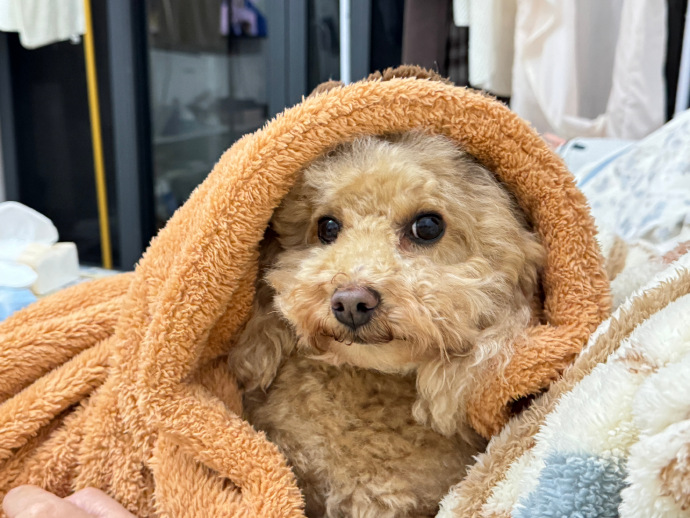 爆款复盘 — 科技开箱 封面