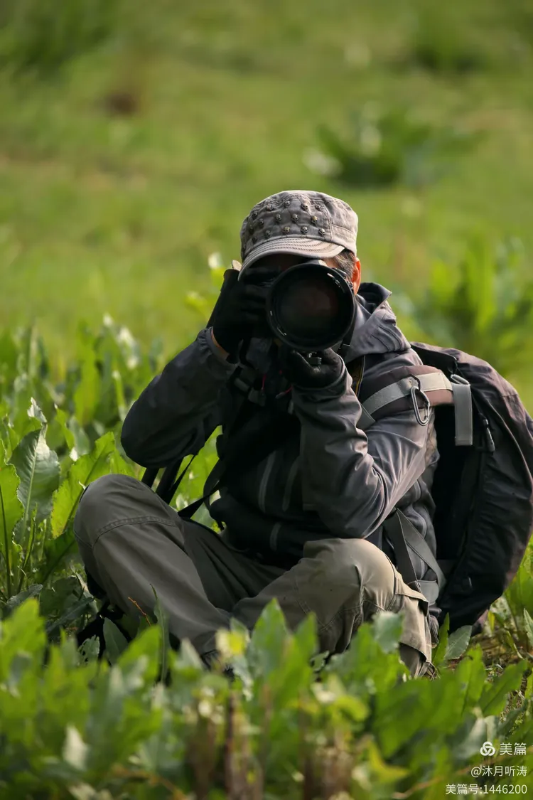 夜航剪辑组 头像